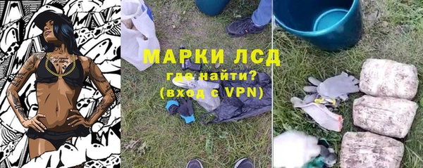 ГАЛЛЮЦИНОГЕННЫЕ ГРИБЫ Наволоки