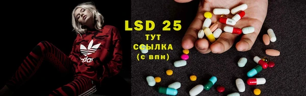 mdma Елизово