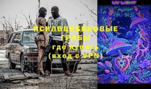 ГАЛЛЮЦИНОГЕННЫЕ ГРИБЫ Наволоки