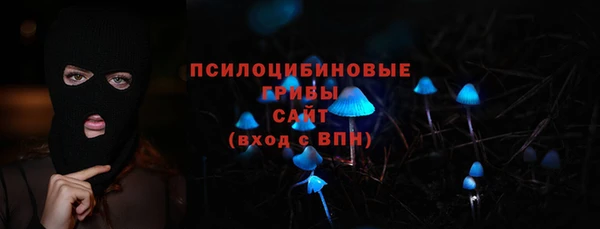 ГАЛЛЮЦИНОГЕННЫЕ ГРИБЫ Наволоки