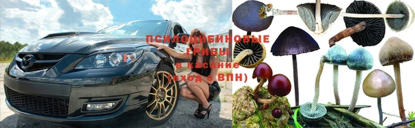 ГАЛЛЮЦИНОГЕННЫЕ ГРИБЫ Наволоки
