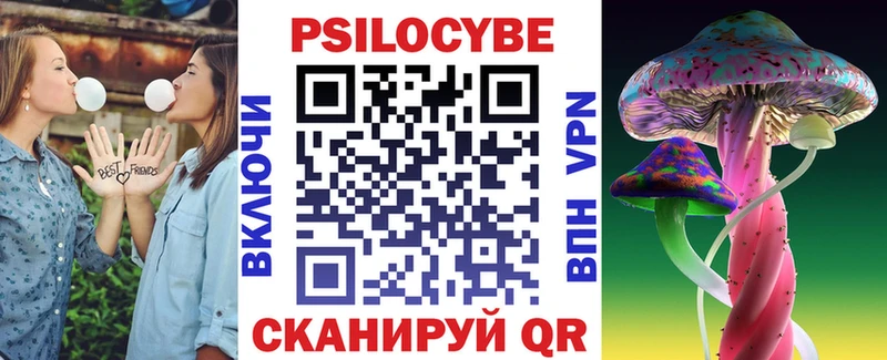 закладка  Лебедянь  Псилоцибиновые грибы Cubensis 